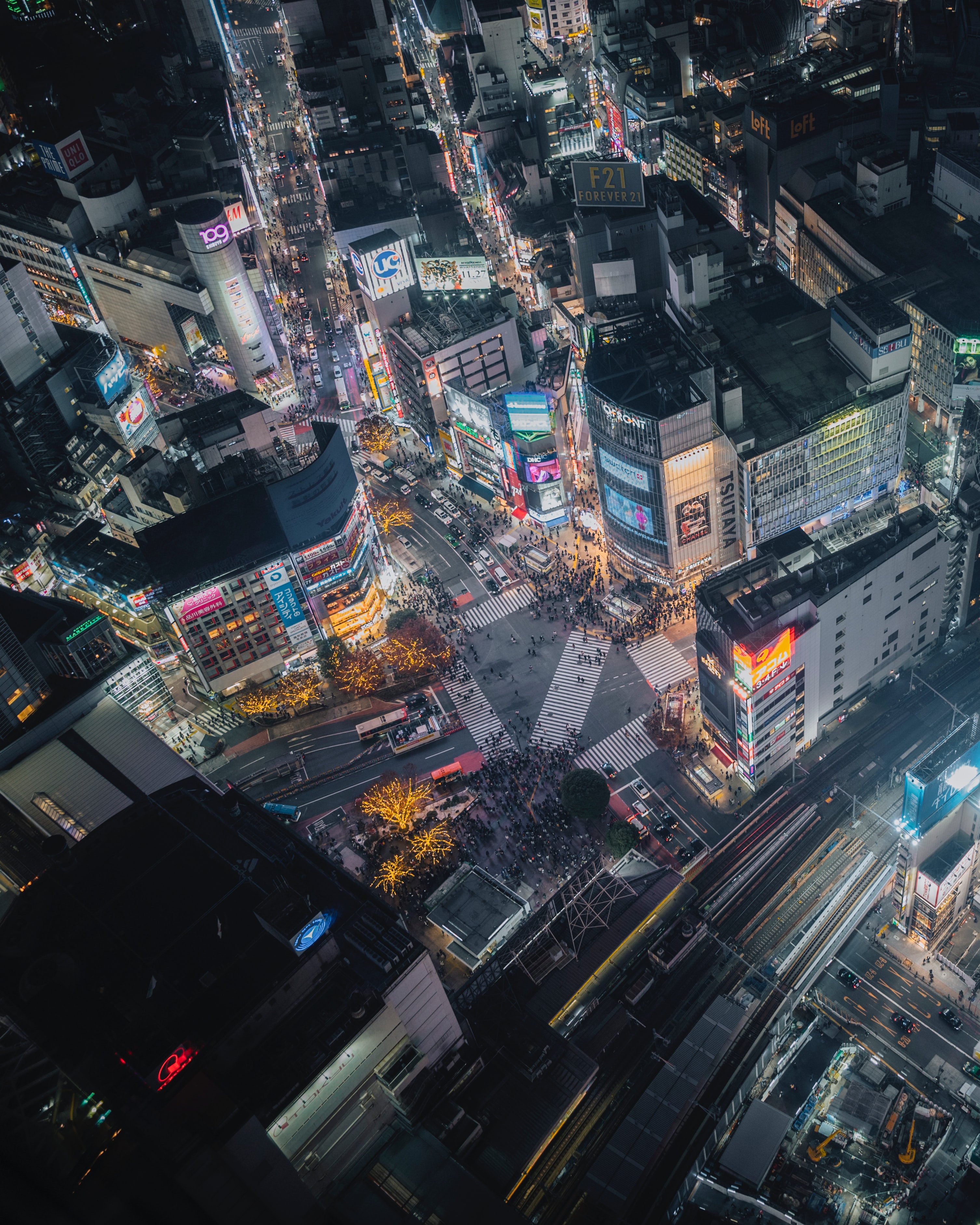 Shibuya Crossing